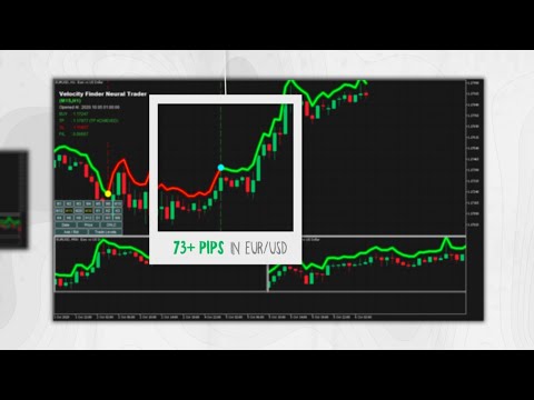Best Momentum Indicator | To enter the market at the right time