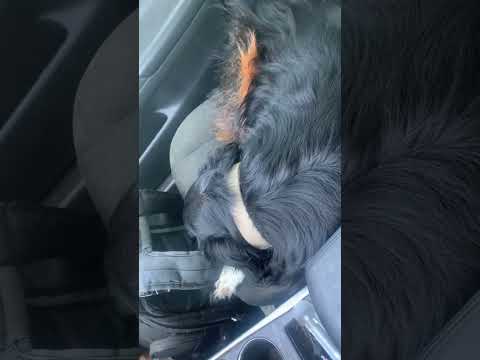Voice of Northern Oklahoma 2