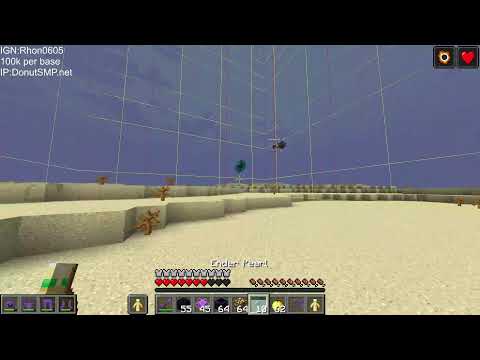 Minecraft DonutSMP LIVE! Raiting Bases