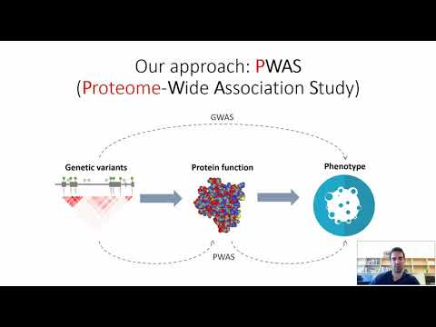 PWAS: Proteome-Wide Association Study (Nadav Brandes, RECOMB 2020)