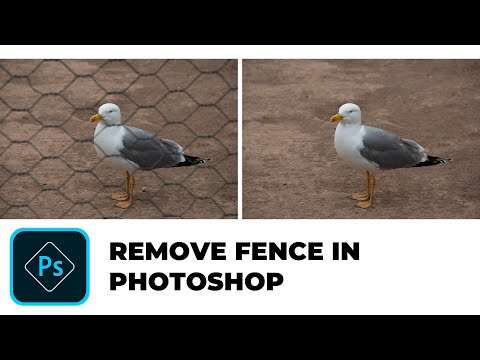 Remove Fence in Photoshop - Remove fence lines from zoo photos