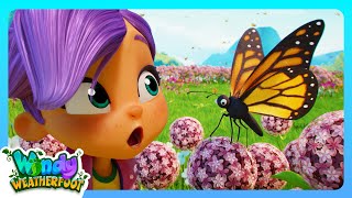 This Butterfly Needs Help! 🦋 | Windy Weatherfoot Cartoon | FULL EPISODE