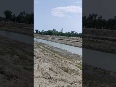 hamare yahan ka desi swimming pool 🏊‍♂️#desi#village#desiculture #up44 #sultanpur #hajipatti #beauty