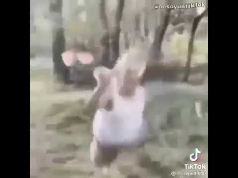Fart