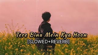 "Tere Bina Mein Kya Hoon" |[SLOWED+REVERB]|mind relax lofi song|arijit singh vibe |#FEELlofi