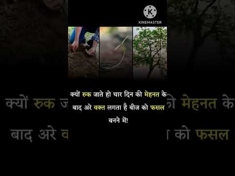 क्यों रुक जाते हो चार दिन की मेहनत के बाद...#vairal #shorts