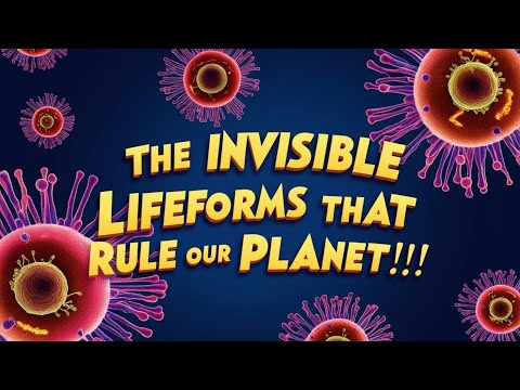 Meet the Microbes That Shape Your Life and the Planet