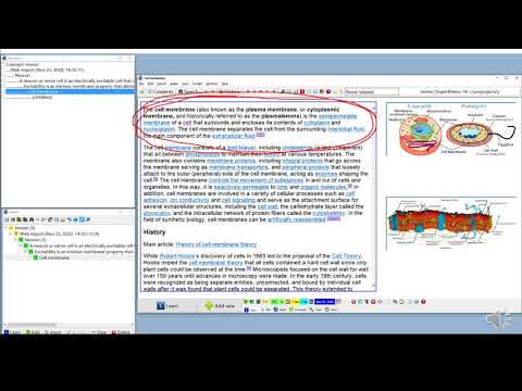 Tackle complexity with coherency branch in SuperMemo