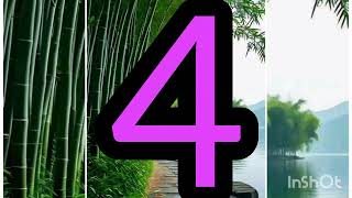 Counting 1to 10 | study for kids | children 's study 