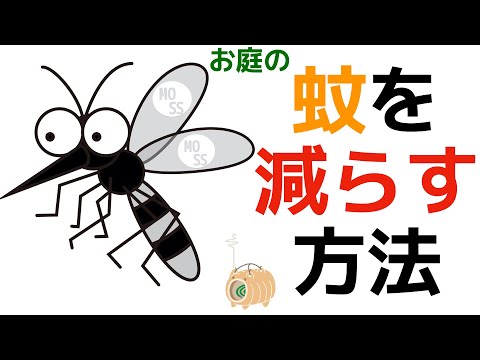 お庭の【蚊】を減らす方法を2つの対策で紹介!【屋外】