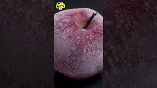 How Long Ago Was Your Apple Really Picked?
