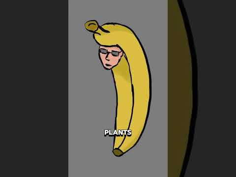 Humans are Basically Bananas!?  #funfacts #bananas #dna