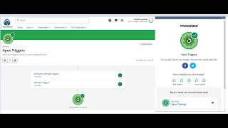 Bulk Apex Triggers || Apex Triggers ||Trailhead challenge ||