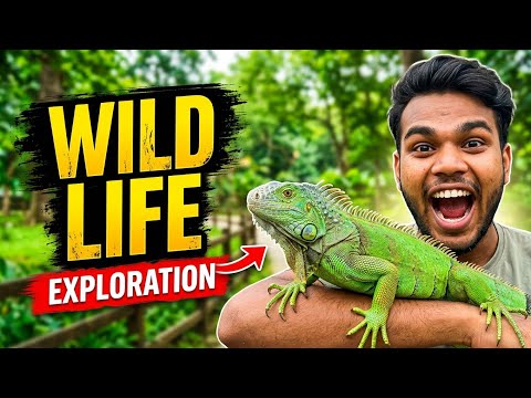 58 Gate Park Vlog 😱 | Jeev Jantu Ke Saath Ek Din | Nature & Wildlife Exploration 🐒🦌