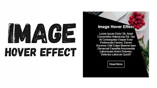 Modern Image Hover Techniques | CSS Only