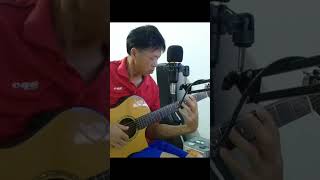 บทเพลงเยียวยาหัวใจ