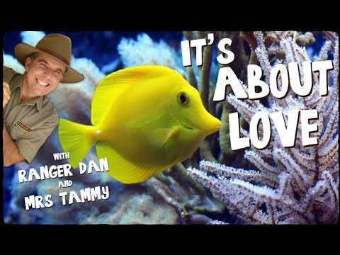 FISH SONG FOR KIDS | Under the Sea Songs | Animal Songs | Kids Songs | Creation Connection
