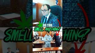🥦Judge Asks 'Are You High Right Now?' | Judge Fleischer