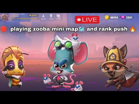Zooba live: MEGA Battles, Epic Wins & Pro Tips! 🦒🔥