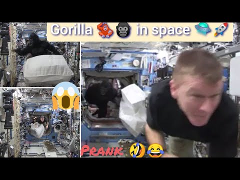Gorilla 🦍 in Space Station 🛸🚀|| Prank in Space || 🤣😂