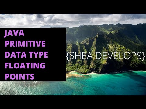 Beginner Java Tutorial on  Floating Point Primitive Data Types Float and Double