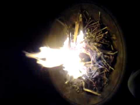 Fire