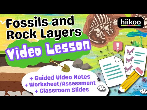 Fossils and Rock Layers for Kids! (NGSS 4-ESS1-1) 🌎🦕