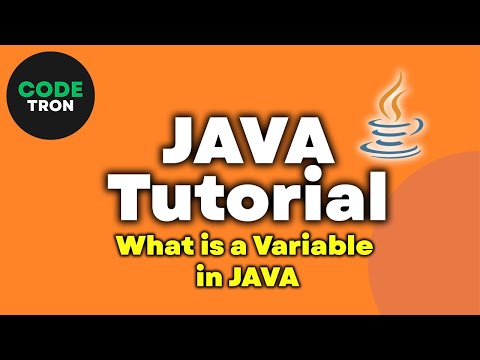 What is a variable in java | why we need them