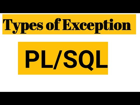 Types of Exception in PL/SQL|| important for class-12, bca, mca, pgdca