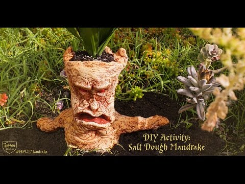 Make your own Mandrake | Harry Potter Tutorial