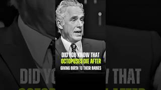 Jordan Peterson best quotes 💬