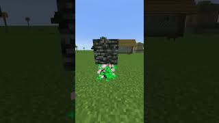 MINECRAFT Logic Gone WILD?