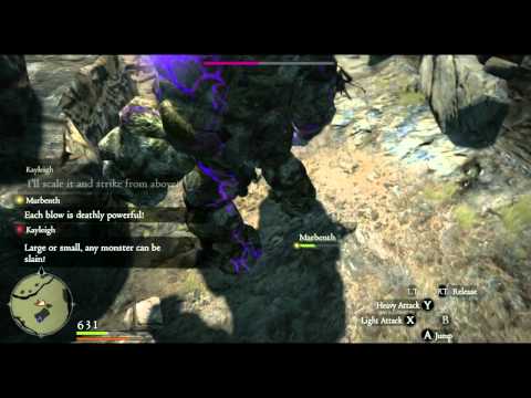 Dragon's Dogma Purple Golem Fight