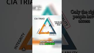 The CIA Triad: What is it? (Cybersecurity Explained)