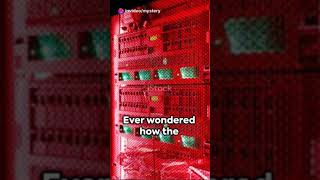 Stack ADT (Abstract Data Type) works and its real-life applications? #datastructures #programming