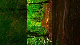 What's app tech jugad #aashishonlinetech #whatsapp #whatsappstatusvideo #whatsapp_status