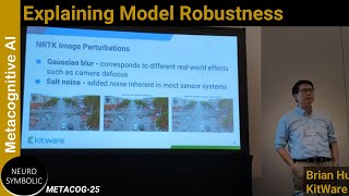 Explaining model robustness (METACOG-25)
