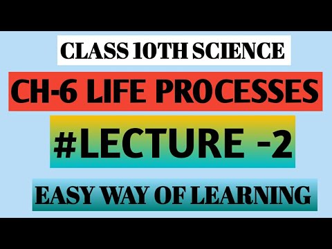 CLASS 10TH SCIENCE CHAPTER-6 LIFE PROCESSES.