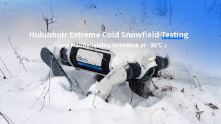 DEEP Robotics M20 Extreme Cold Snowfield Testing