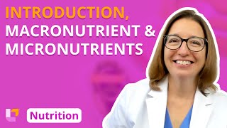 Introduction, Overview of Nutrients - Nutrition Essentials | @LevelUpRN