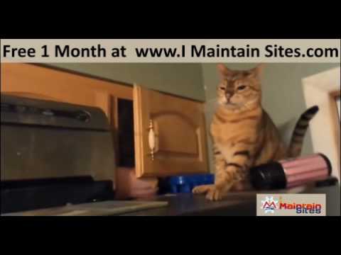 IMaintainSites