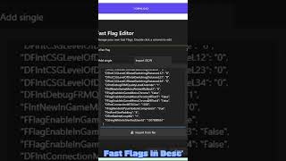 BEST FAST FLAGS FOR ROBLOX