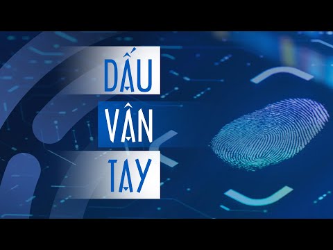 Vì sao mỗi người có một dấu vân tay?