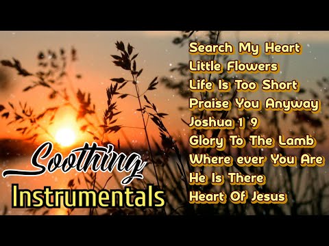 Soothing Instrumentals/ Blessed Tracks