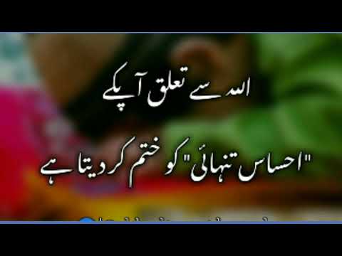 Golden lines.golden words.quotes.aqwal e zareen in urdu.video by Decent Tv*.