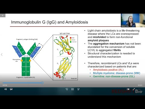 Characterizing Amyloid-Forming IgG Light & Variable Chains with Microfluidic Modulation Spectroscopy