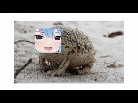 Suisei's F***** WAR CRY [Version 2] | 「HOSHIYOMI」