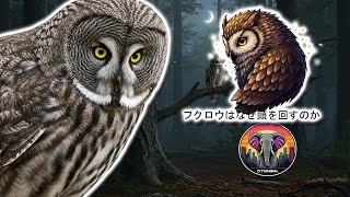 フクロウはなぜ頭を回すのか？｜動物ドキュメンタリー