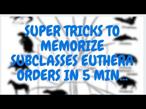Mnemonics to memorize subclass Eutheria orders || Diversty Among Animals||