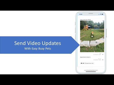 Sending Pet Video Updates with Easy Busy Pets